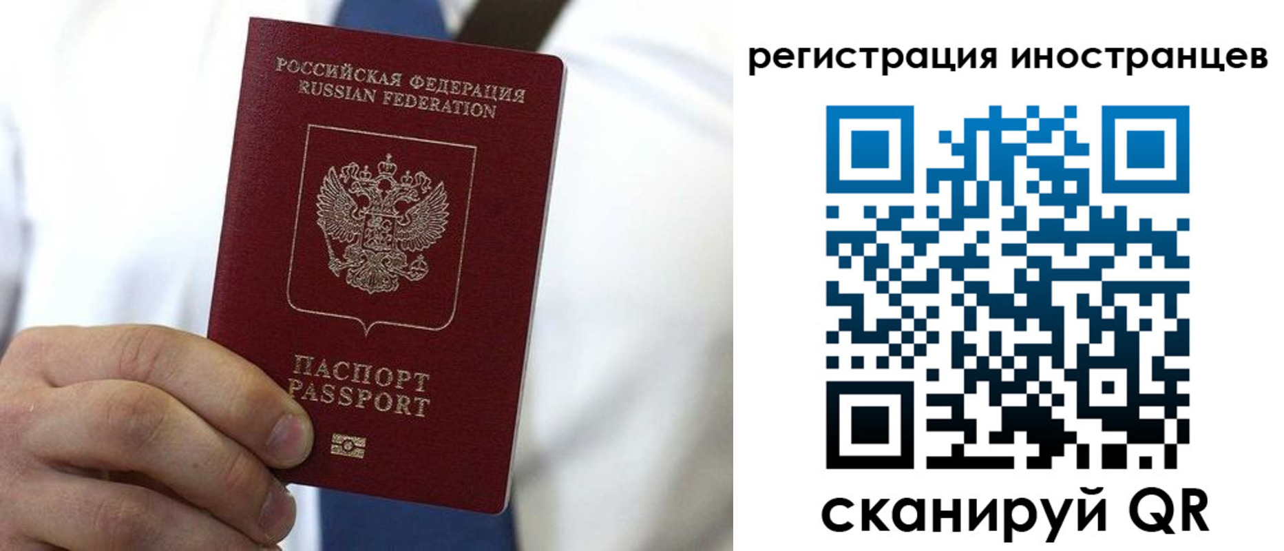купить прописку в Курской области